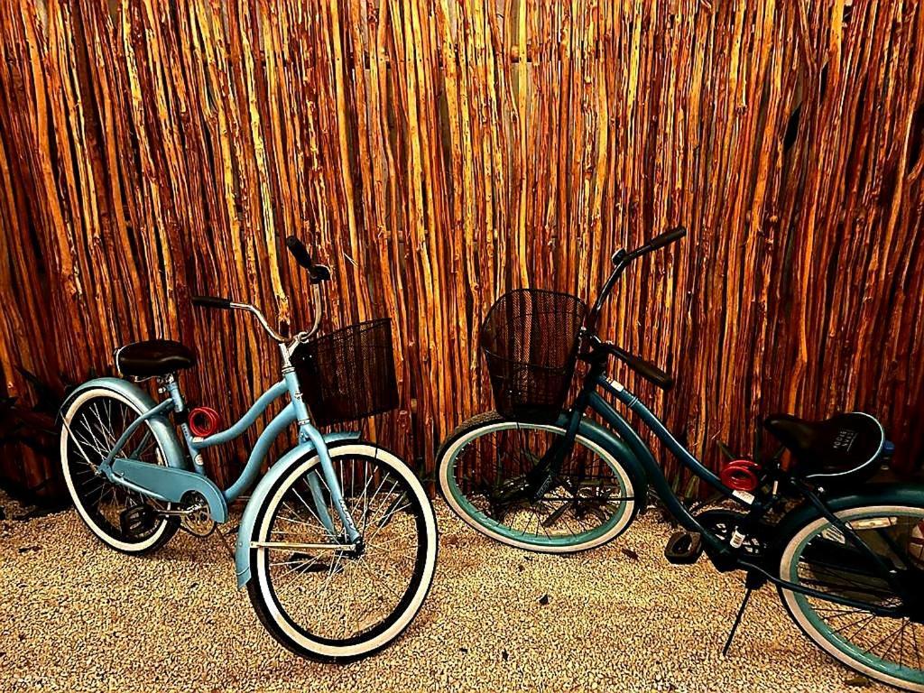 Soi Bacalar Hotell Exteriör bild